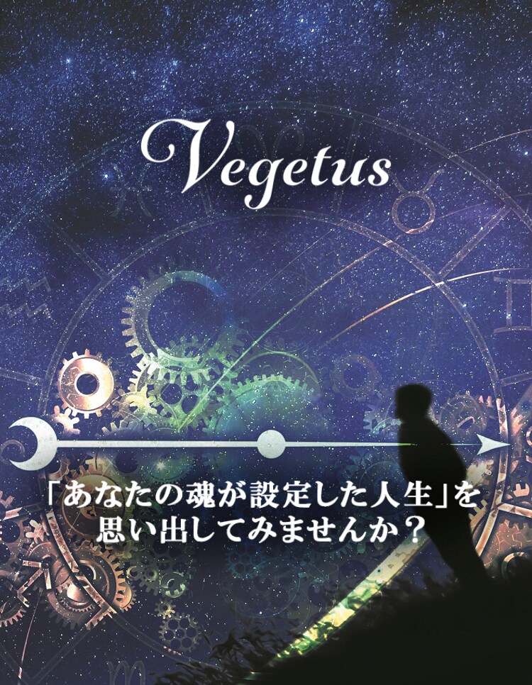人間関係のトリセツを作ります 人間関係の悩み解決！西洋占星術・エネルギー鑑定でトリセツ作成 イメージ3