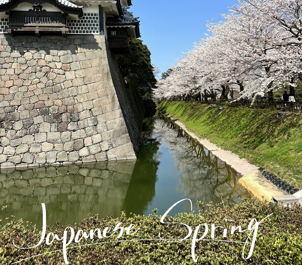 写真に手書きで書きこみをします あなたの素敵な写真に手書き文字で「ひとこと」添えませんか？ イメージ4
