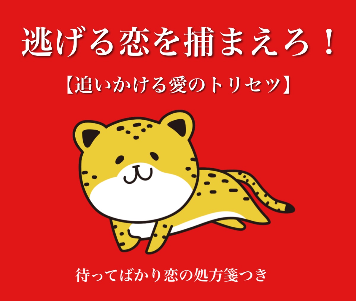 チーター必見！追いかける恋のトリセツ教えます 痛い恋をした私だから理解！悩める恋愛駆け込み寺はココ イメージ2