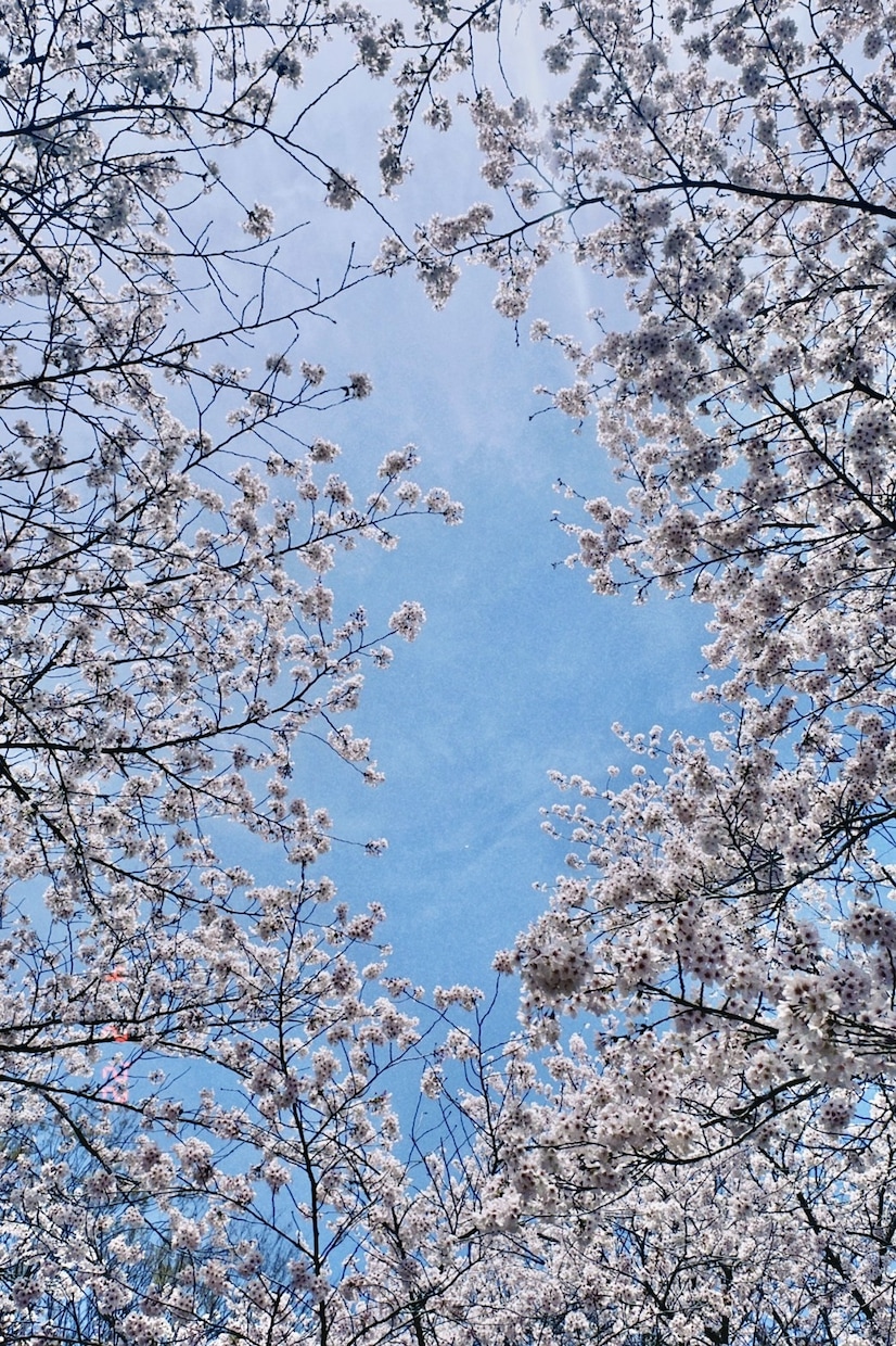 話し相手になります　愚痴聞きます 今日もお疲れ様です(o^^o)心をほぐしていきましょう。 イメージ1