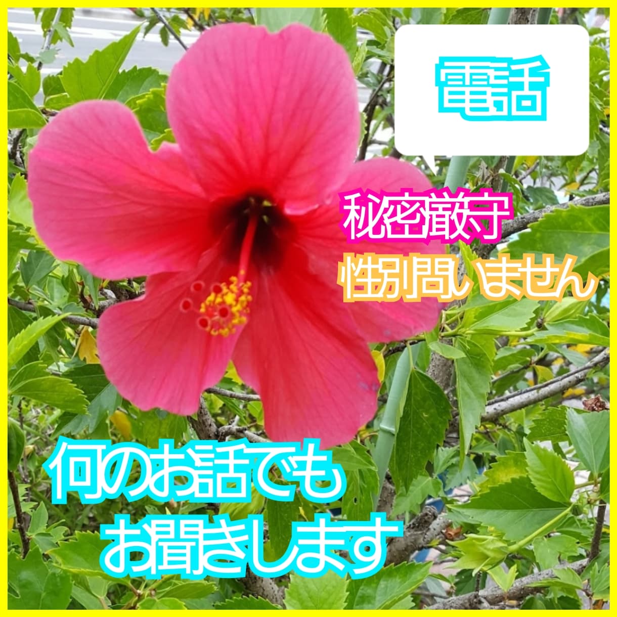 皆様のお話お聞きします ♪サクッと何気ないお話から深いお話まで.｡*･ﾟﾟ イメージ1