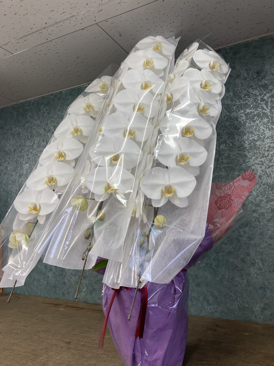 お花に関する相談にのります お花の贈り物選びや育て方など、問題を一緒に解決しましょう！ イメージ1