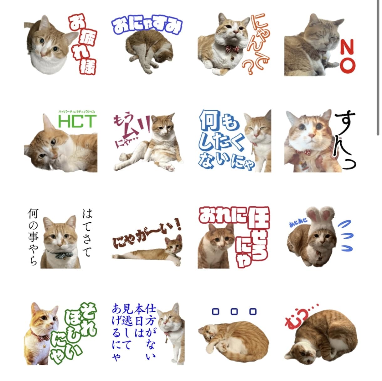 ペットの写真を使って作成します 普段使いから特殊用語まで承ります イメージ2