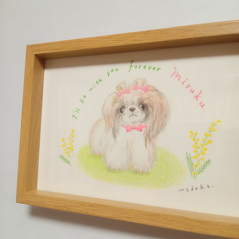 手描きでほんわか優しいペットイラスト描きます 温かみある優しい色鉛筆画。似顔絵、名入れ、思い出、プレゼント イメージ9