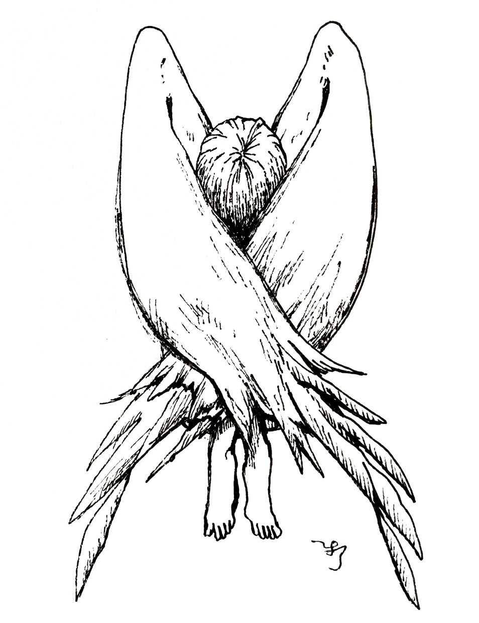 しっとりしたモノトーンイラスト描きます *.+ﾟ人物、天使、不思議生命体などの白黒イラスト*.+ﾟ イメージ5