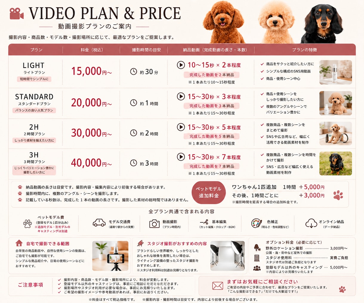 ペット用品の魅力が伝わる動画を撮影します 使用シーンやブランドイメージを映像で表現 イメージ4