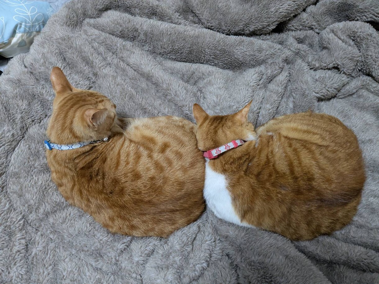 解決しなくていい話を聞きます まとまらない気持ちも、そのままで聞く専門ひと息つく通話時間 イメージ3