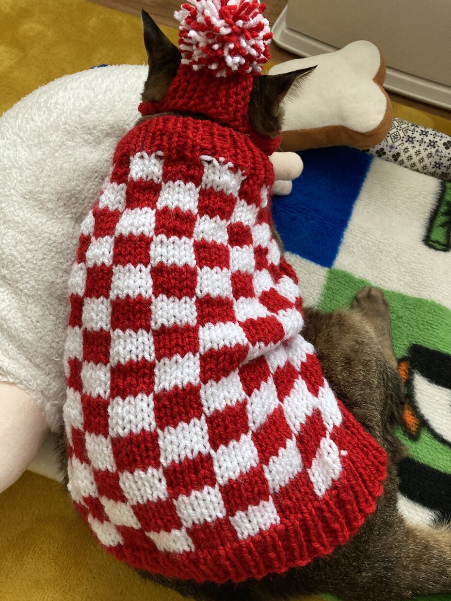 編み物代行してお編みいたします わんちゃん（犬）ネコちゃん（猫）ベビー（赤ちゃん）用ニット イメージ2