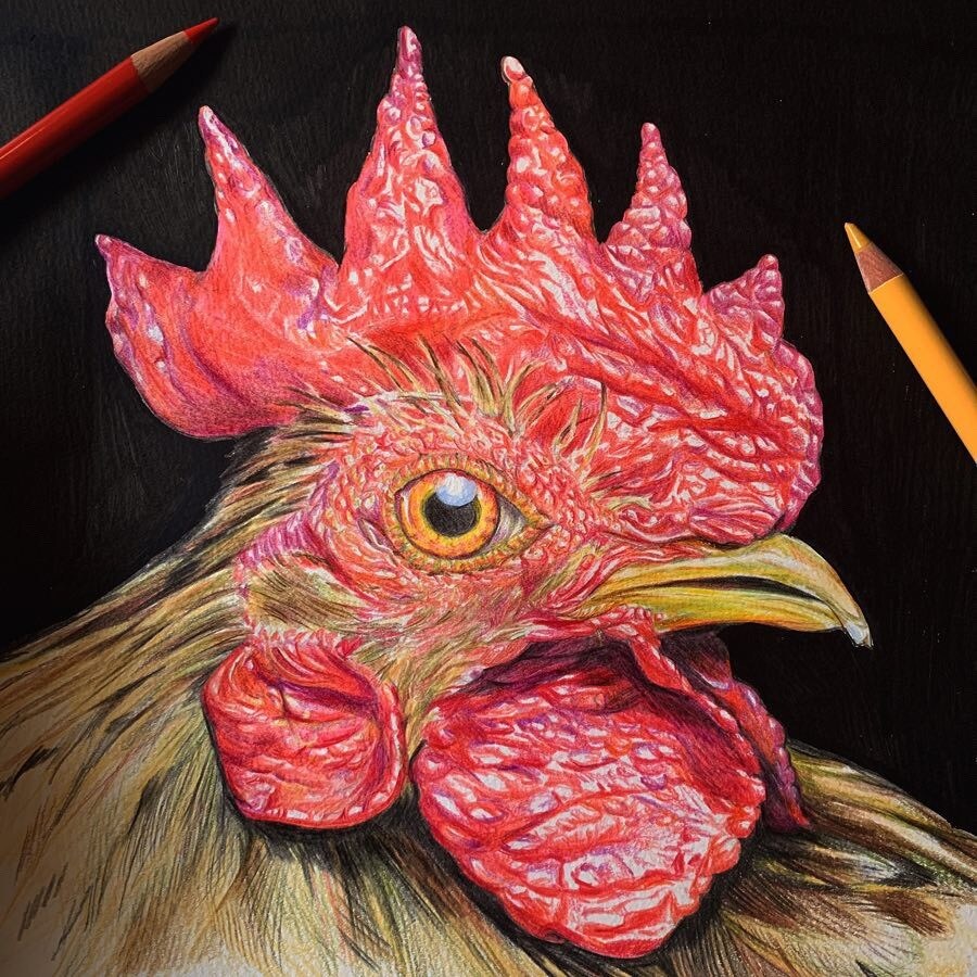 鶏描きます All Chicken Style イメージ1