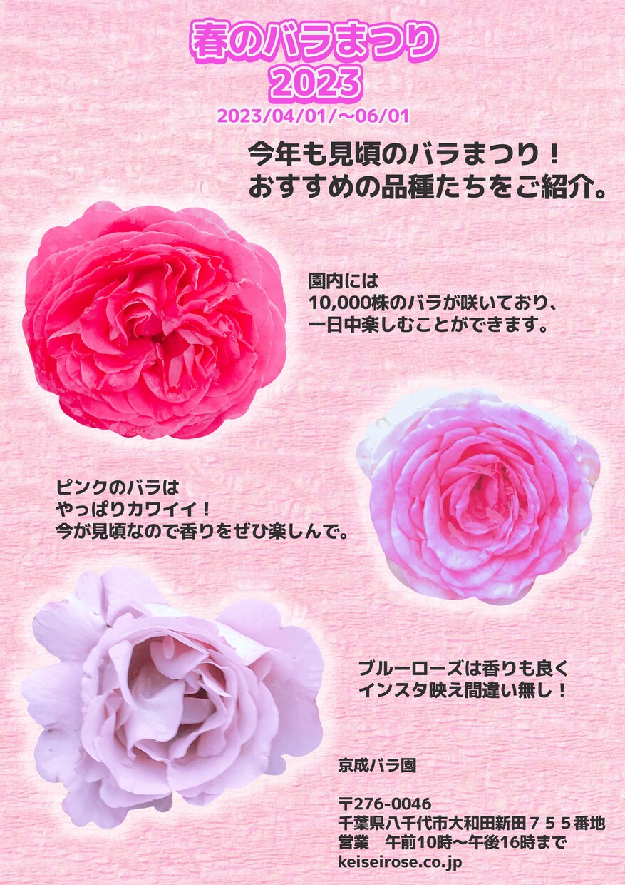 Instagramまとめ画像・商品画像作成します Instagram・商品画像・LEMON8 イメージ2