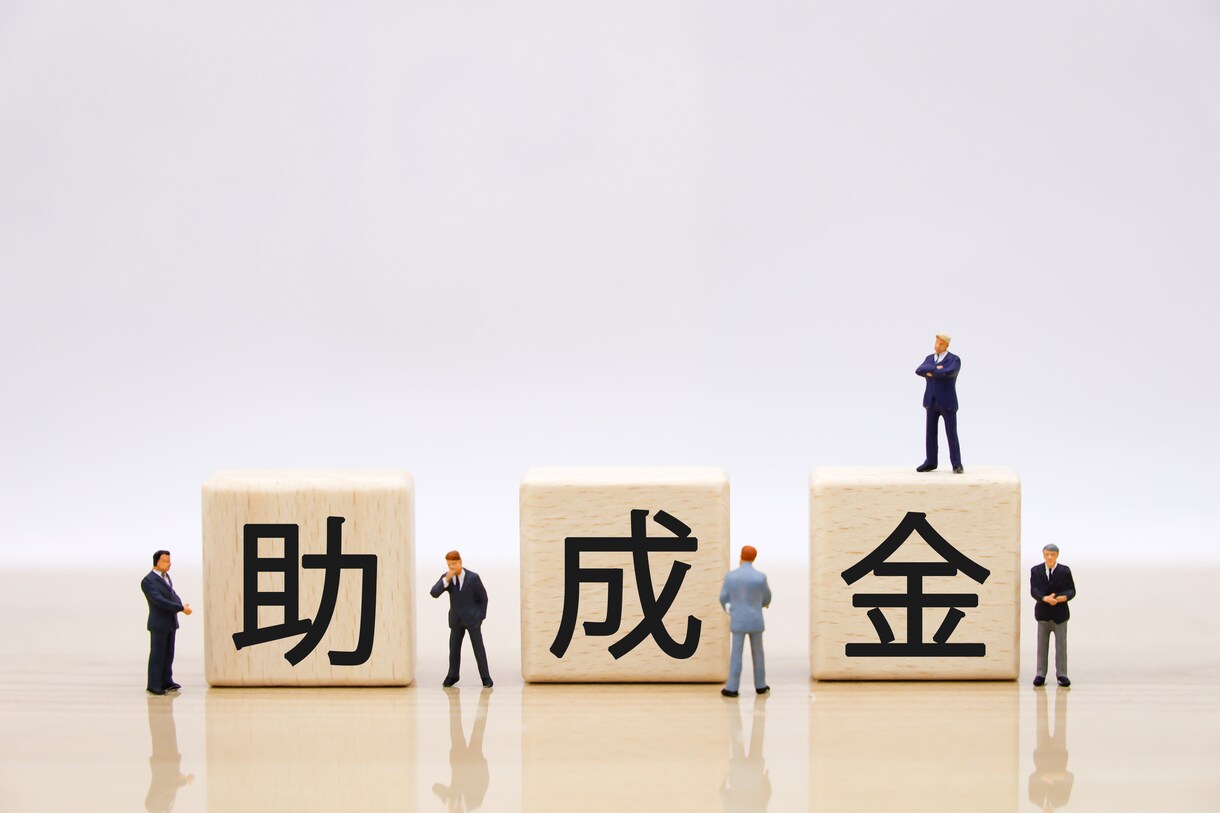 厚労省管轄の助成金の申請・活用をサポートします 助成金に特化した社労士が助成金活用を徹底サポートします！ イメージ1