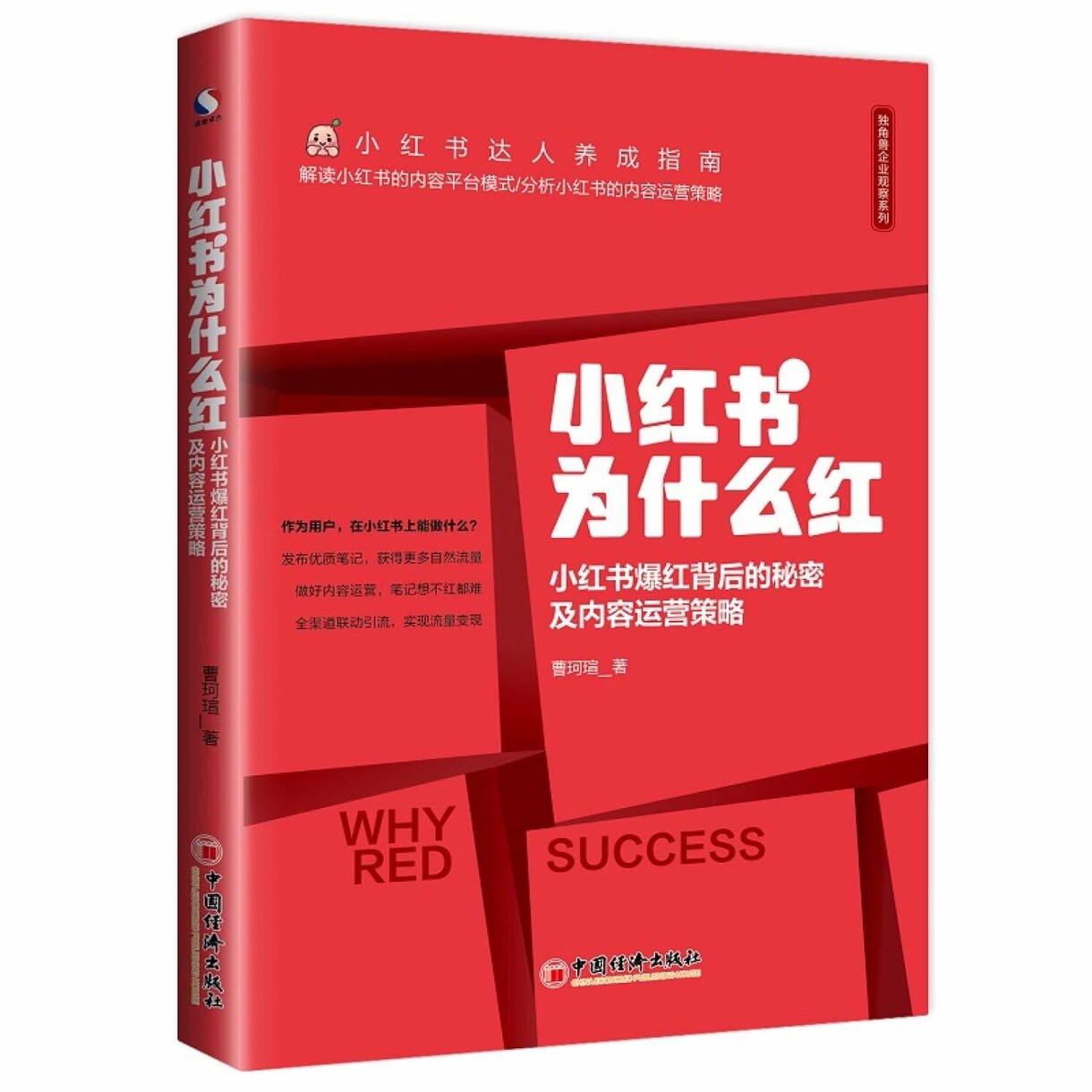 中国版インスタ「小紅書」のアカウントの制作します 集客しやすいIPの設定も手伝い致します！ イメージ2