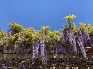 現役看護師が、色々な悩み愚痴聞きます 否定的な話し方はいたしません。共感を大事にしていきき イメージ1