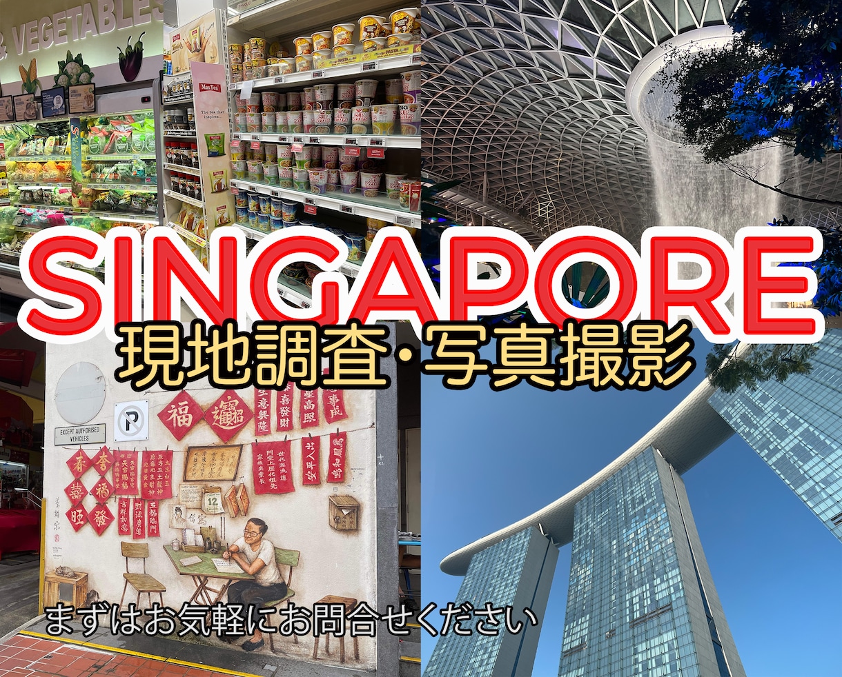 シンガポールの現地調査、写真撮影いたします 起業を考えている方など、詳しく現地の様子が知りたい方へ イメージ1