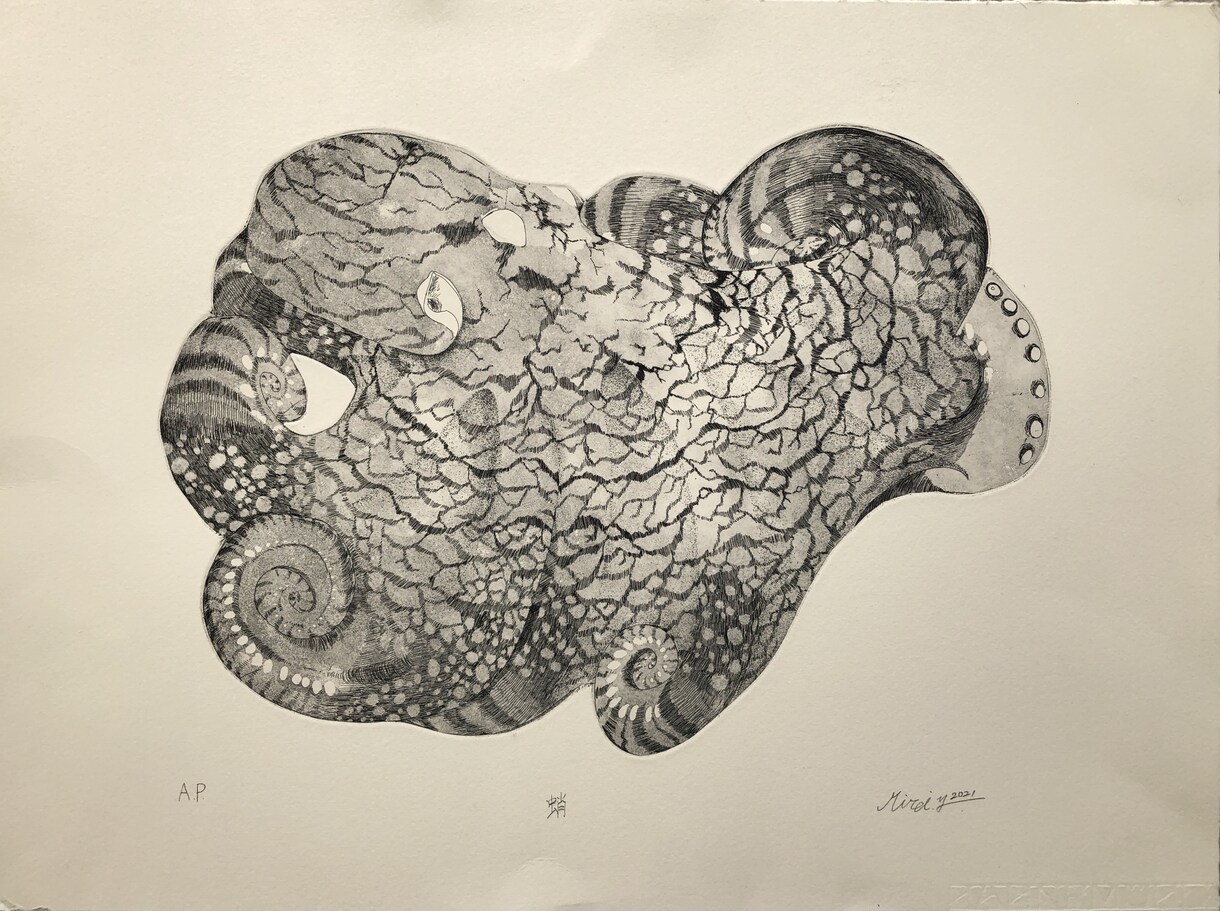 リアルでかわいい動物の絵を描きます 表紙、挿絵などに動物の絵が欲しい方必見！マニアックな動物も！ イメージ7