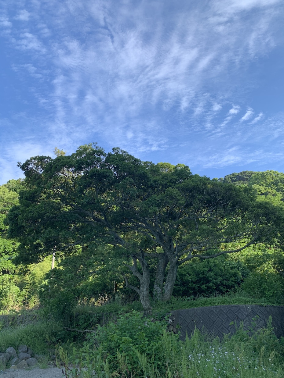 恋愛、仕事、家庭、望む未来へと繋げます 何故こんなにも苦しいのか？豊かで楽しい未来へ導いていきます イメージ6