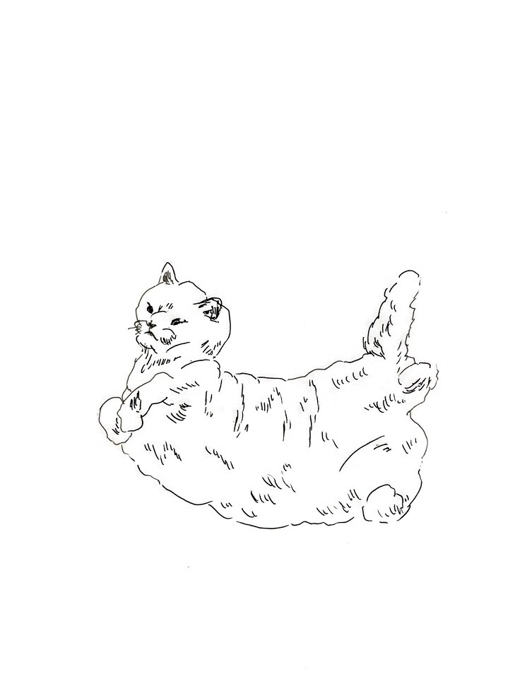 手描き風ゆる〜いもふもふ動物の絵を描きます アイコン、挿絵などに使えます◯ 商用利用ご相談ください イメージ3
