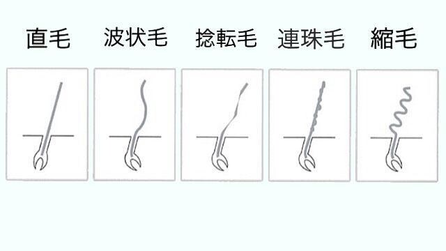 美容師が、ホームカラー選定＆塗り方教えます 今や通販で買えちゃうプロのカラー剤！塗り方、選び方伝授！ イメージ2
