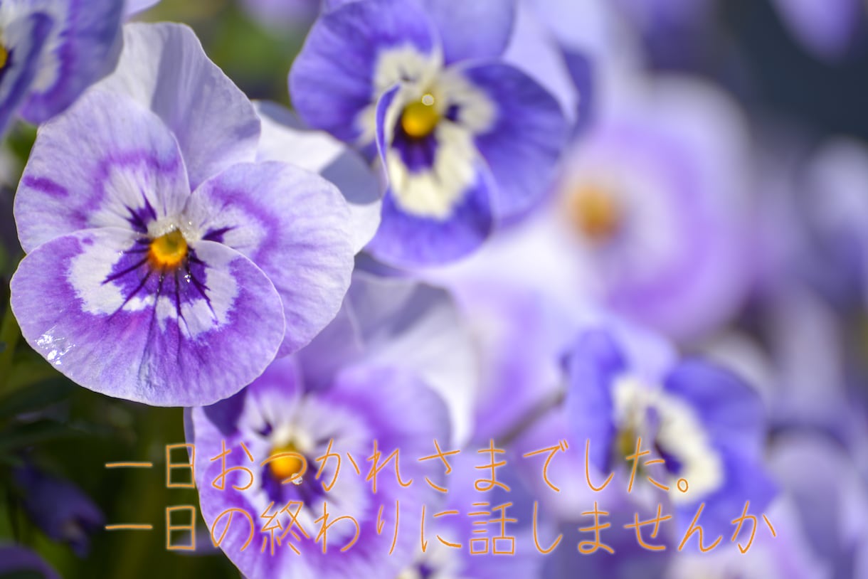 話を聴いてほしい!どんなお話も全力でお聴きします 現役生活相談員。国家資格複数保持。安心してお話ください。 イメージ10