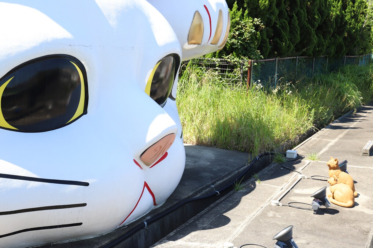 愛知県で写真撮影代行します フルサイズ一眼カメラで撮影した高画質な写真を提供します イメージ3