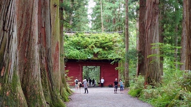 長野県の温泉地や観光地のお勧めをご紹介します 源泉掛け流しや泉質に特徴のある温泉をご紹介をいたします。 イメージ7
