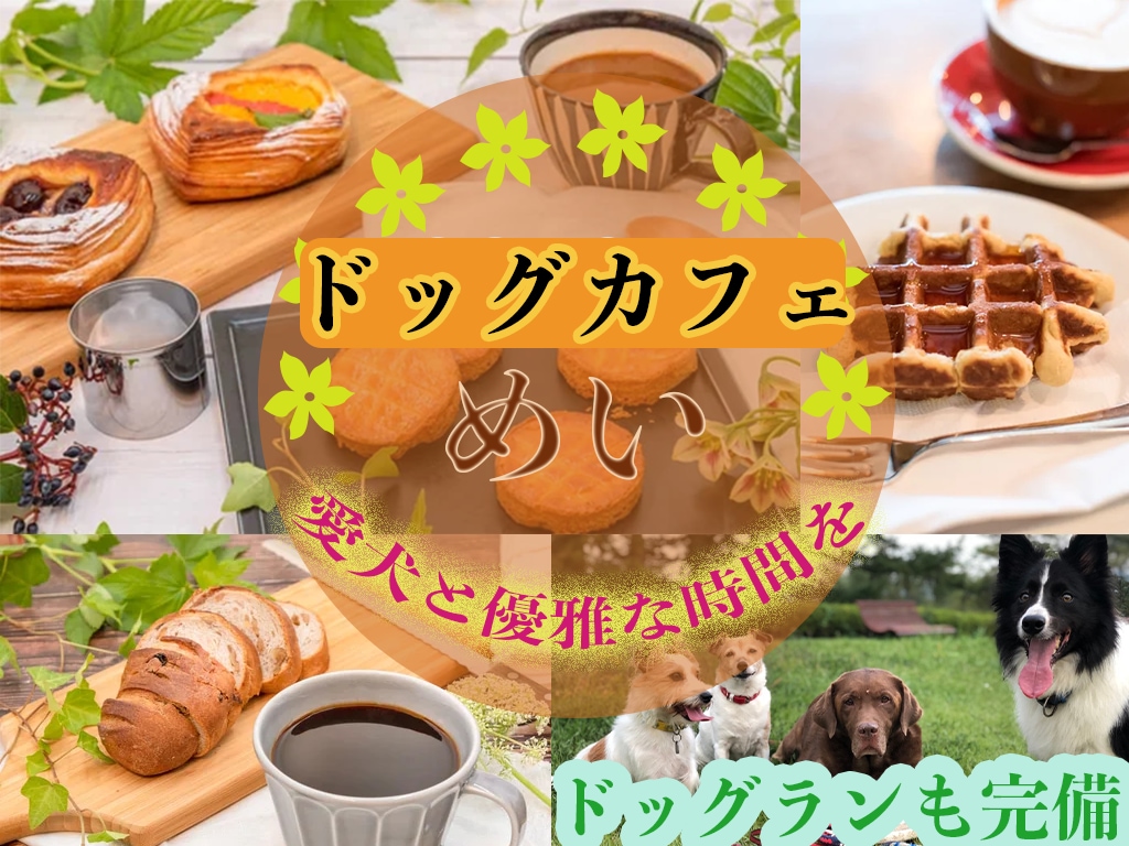 魅力ある、多くの人の目につくデザインを作ります 広告から集客を目指したい方へ提案いたします イメージ2