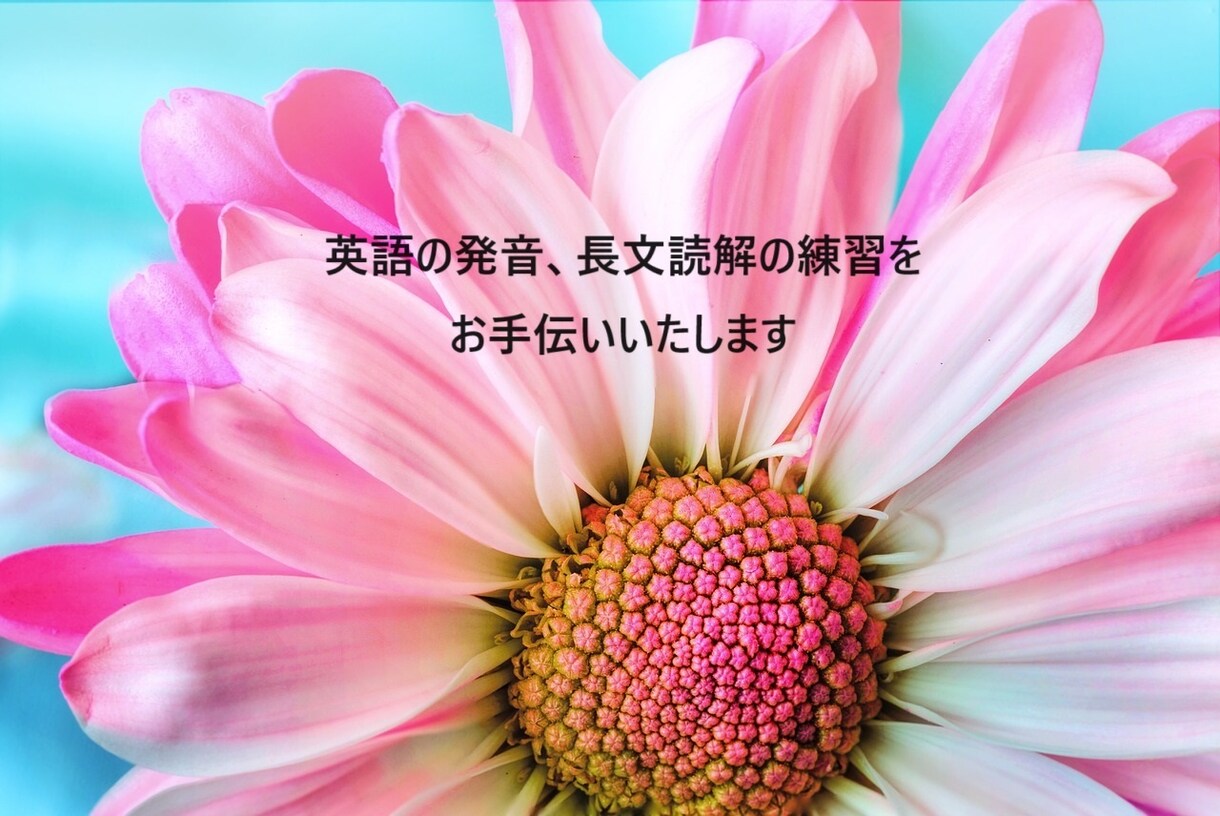 発音練習、長文読解のお手伝いをいたします 英文をスラっと読めるようにしましょう！ イメージ1