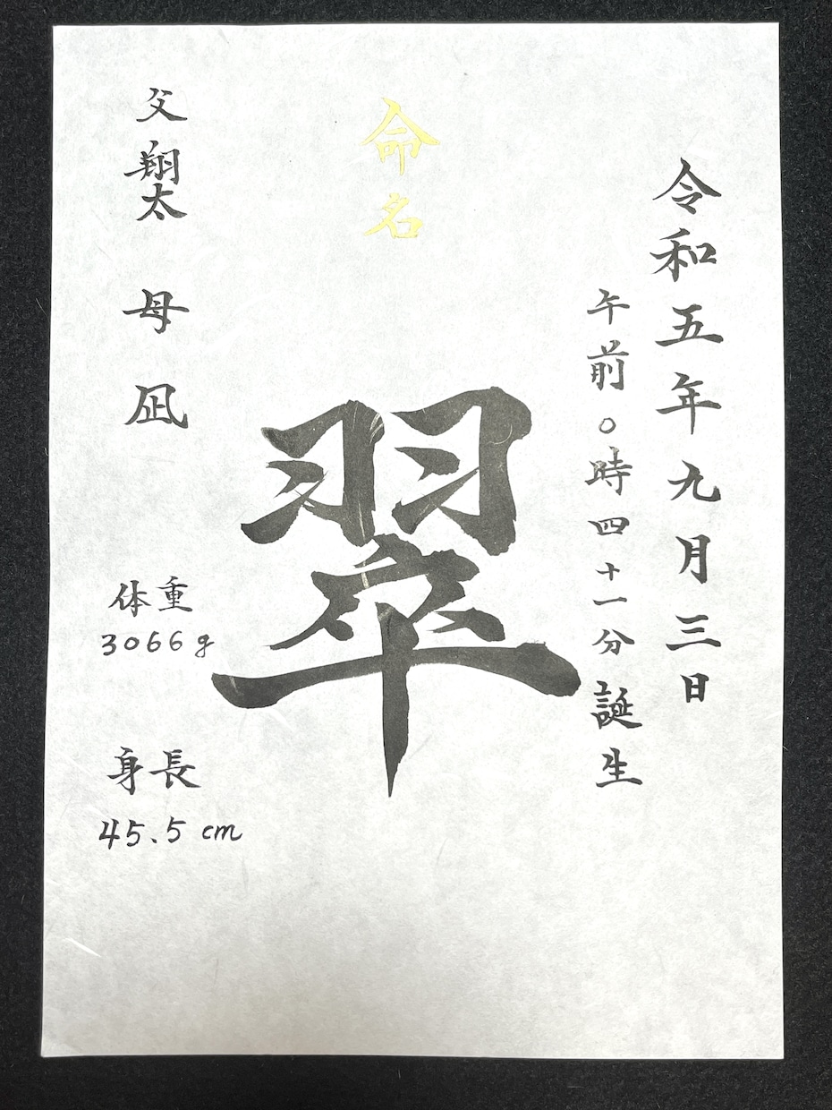 命名書★書道歴40年の書道家がシンプルに筆耕します 何通りかの命名書（お名前）を提案させていただきます! イメージ1