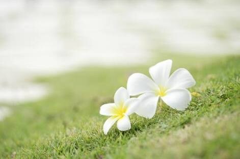 あなたの心を癒します 心の闇を吐きだしてみませんか？ イメージ1