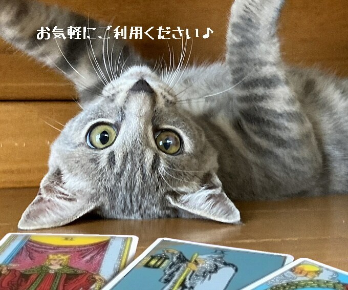 タロットでお悩み占います カードメッセージを人生の知恵袋に イメージ6