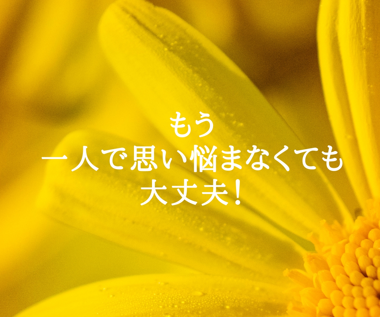人間関係のモヤモヤお聴きします 心の詰まり吐き出すことで、これからの人生を変えませんか？ イメージ2