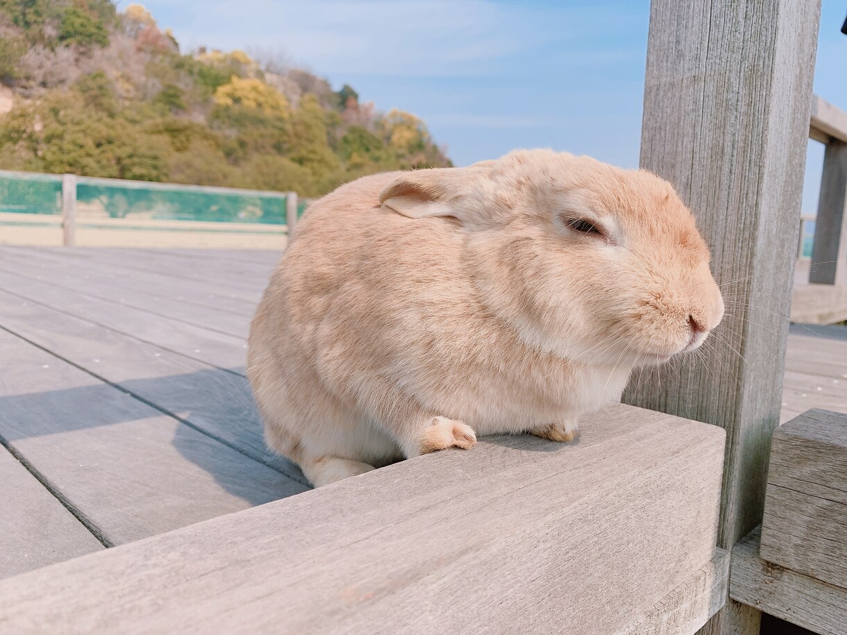 5分だけでもおっけー！話し相手になります なんとなく誰かと話したいときありませんか？ イメージ1