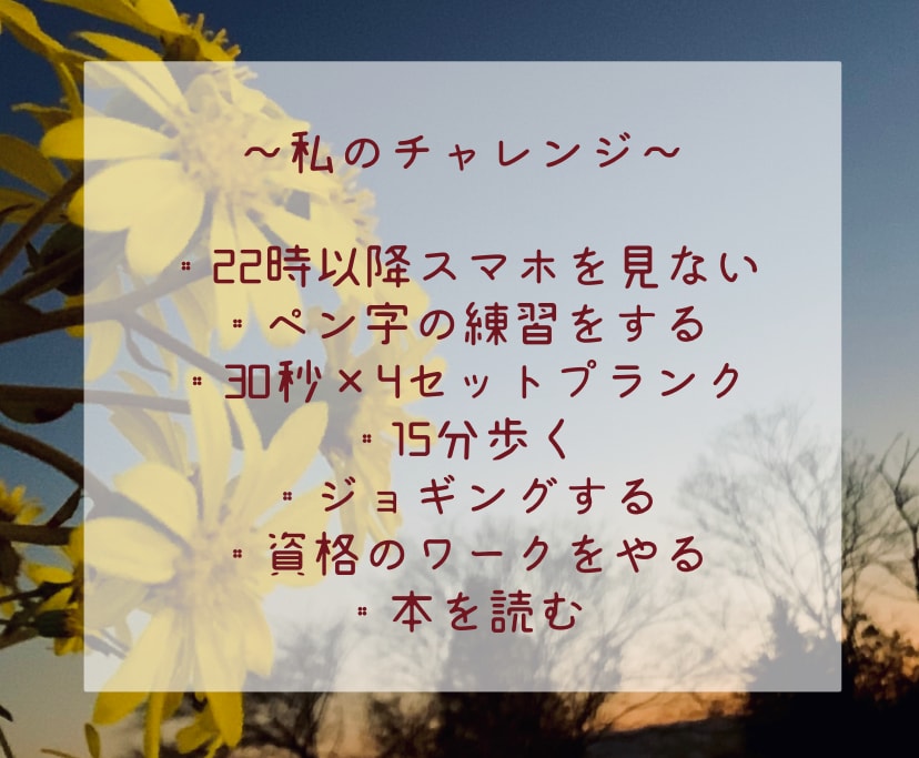 目標『七日間継続してやる』達成のサポートをします ひとりじゃないから、できる！私もあなたと挑戦します！ イメージ3