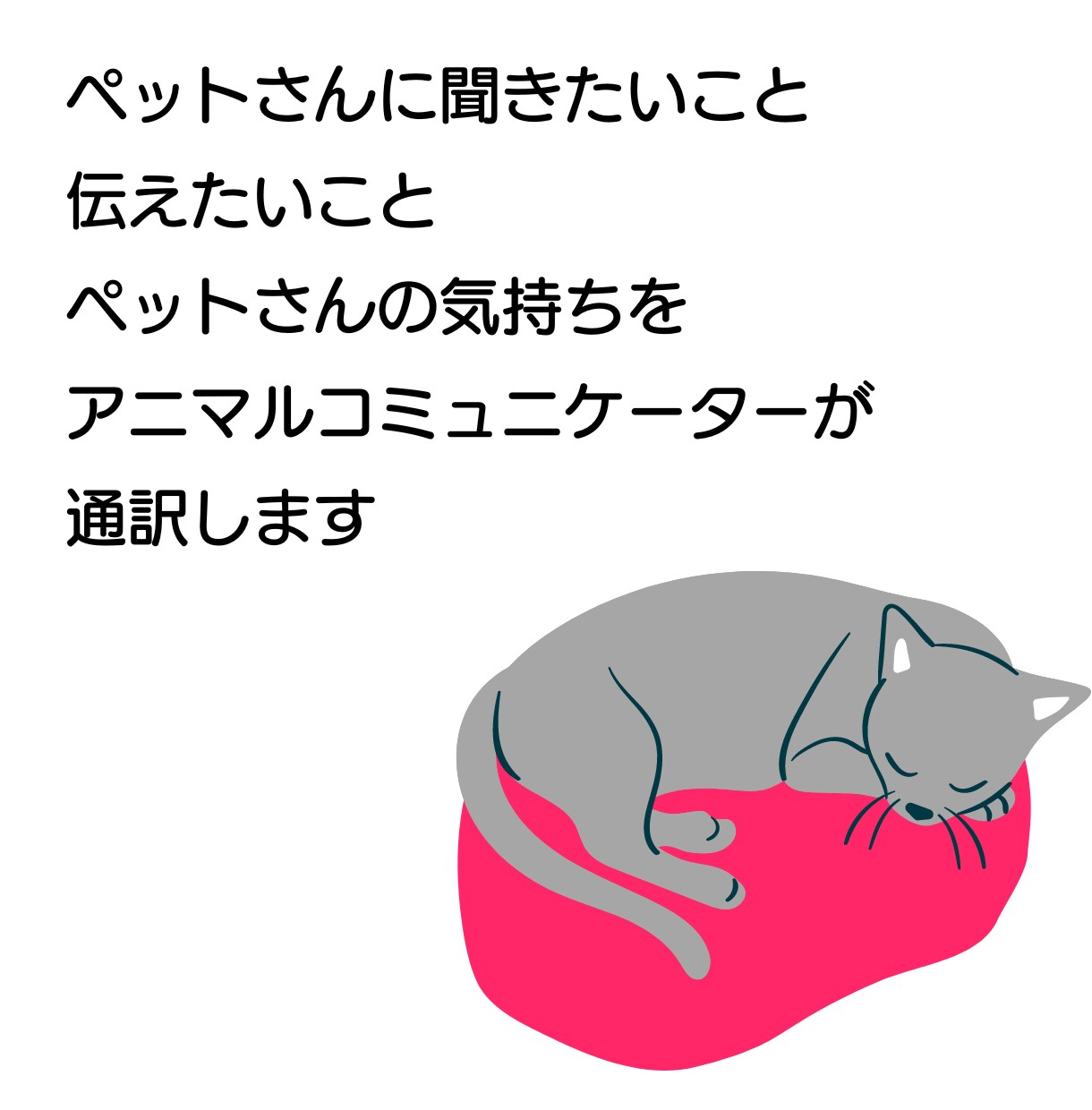 天国のペットさんとお話しします 質問、もしくは伝えたいこと　全部で３つ承ります☆ イメージ3