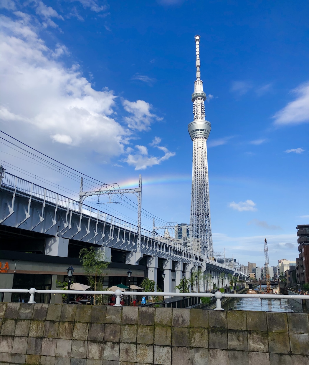 東京の観光・グルメスポット情報集めまくります 年末年始どうする！？忙しいあなたに代わって最新情報集めます イメージ2