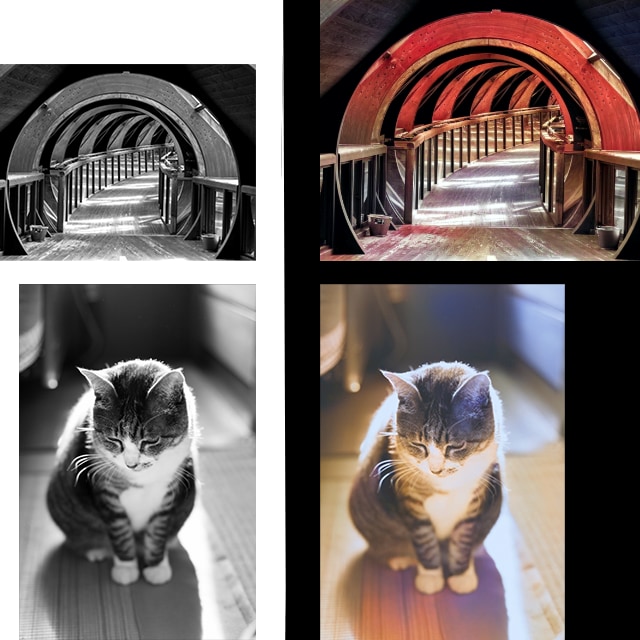 白黒・モノクロ写真をカラーに！一部のみもできます 懐かしいあの写真も鮮やかなカラー写真に！ イメージ3