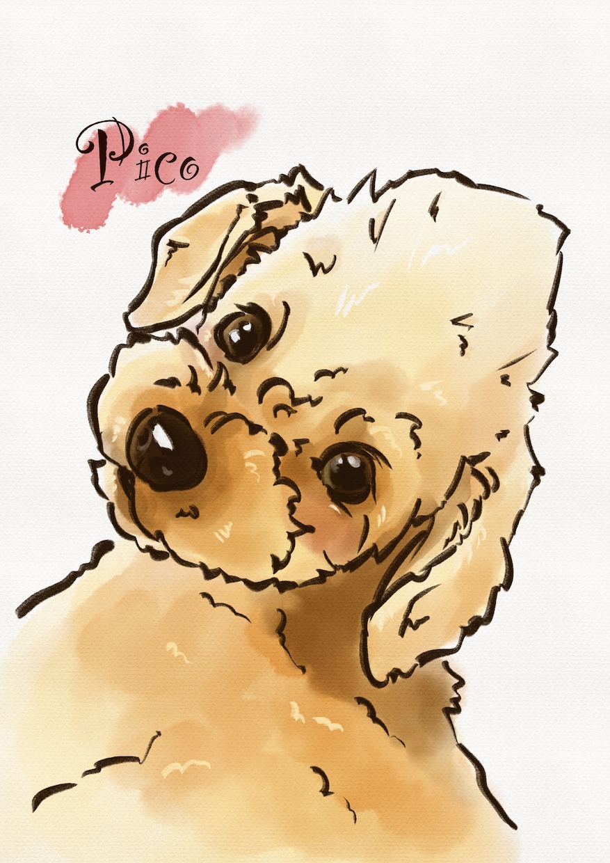 愛犬の似顔絵イラストをお描きします アイコン、鑑賞用、プレゼントに イメージ2