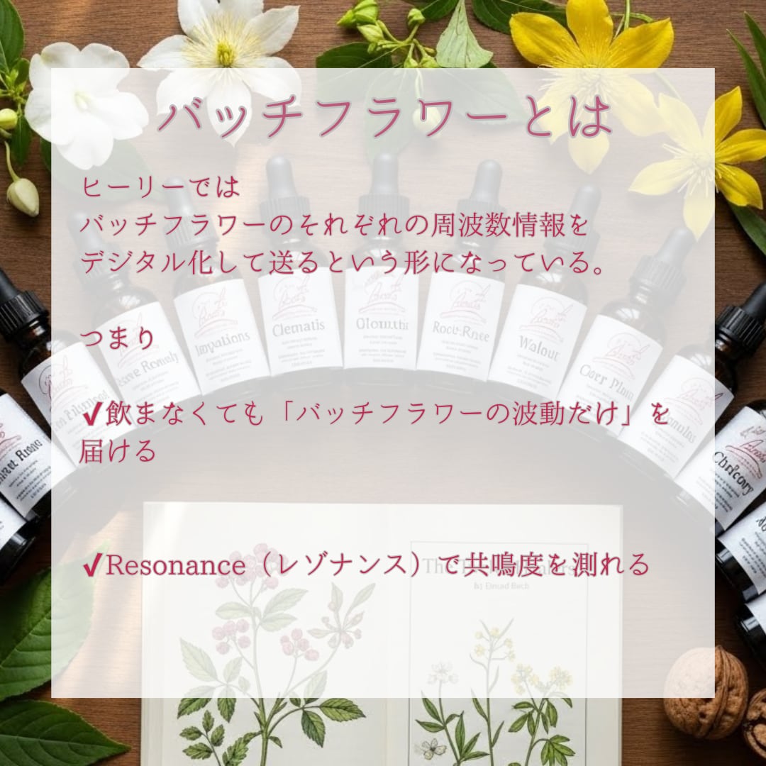 ヒーリーで波動調整します バッチフラワーの波動で感情の解放 イメージ4