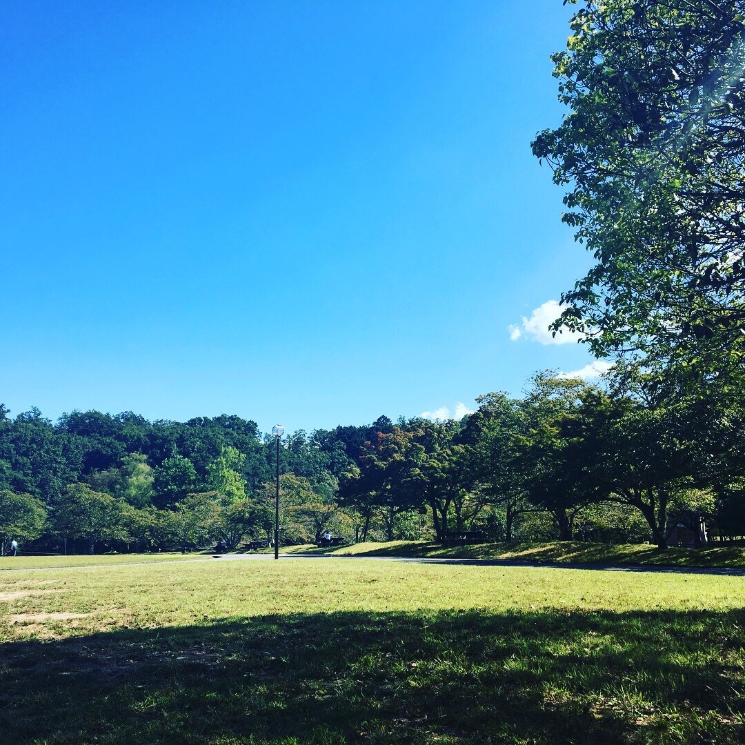 相談や愚痴、弱音、のろけなんでもお話お聞きします 恋愛・不倫・失恋・健康・体のこと・人間関係・仕事など イメージ1