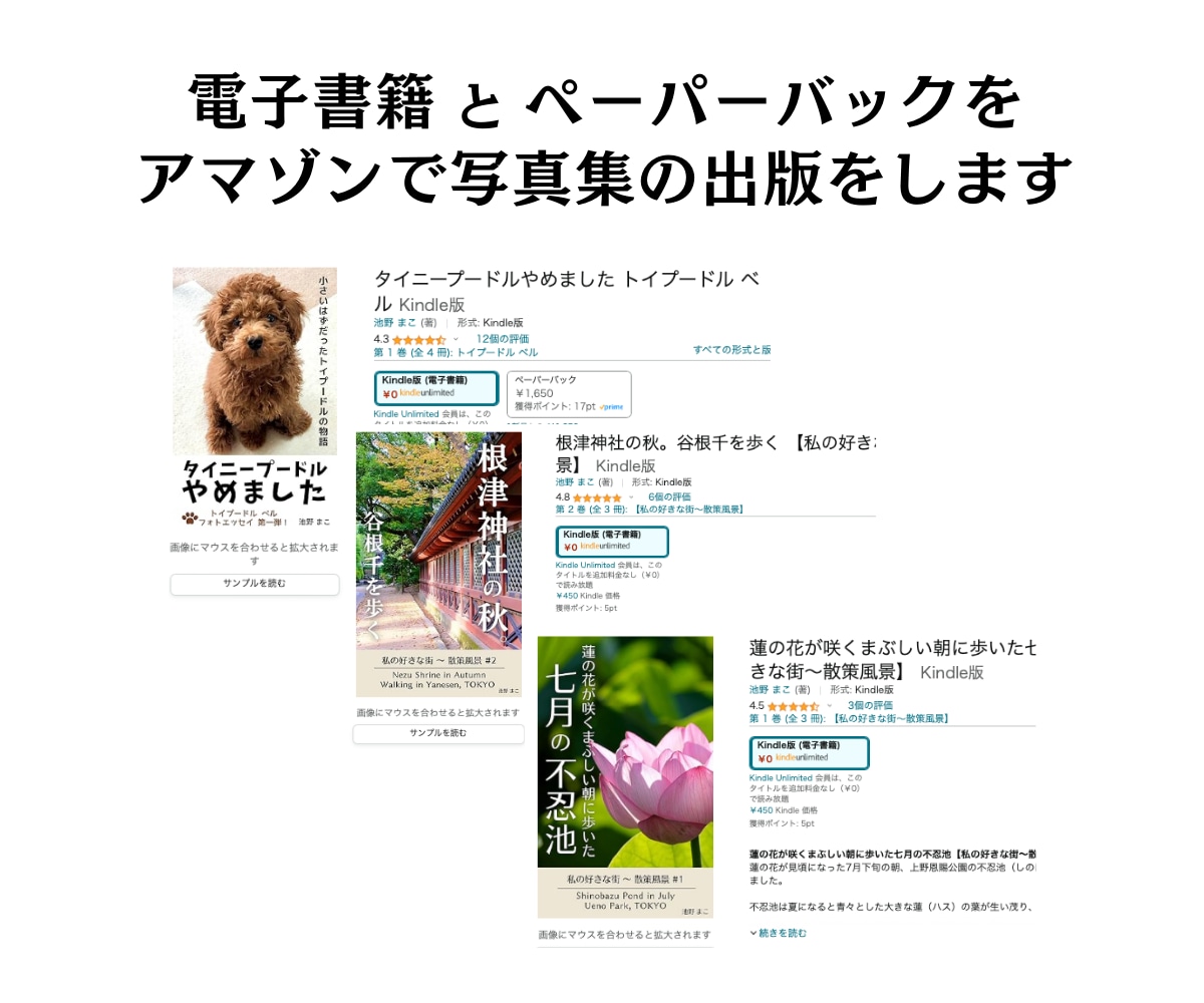 Amazon写真集出版をトータルサポートします 電子書籍・ペーパーバック・表紙をお任せ！特別パーソナルプラン イメージ2