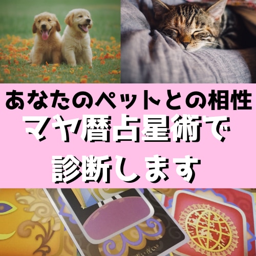 大切なペットとあなたの相性をマヤ暦占星術で占います マヤ暦占星術でペットの持つ性格やあなたとの相性を導き出します イメージ1