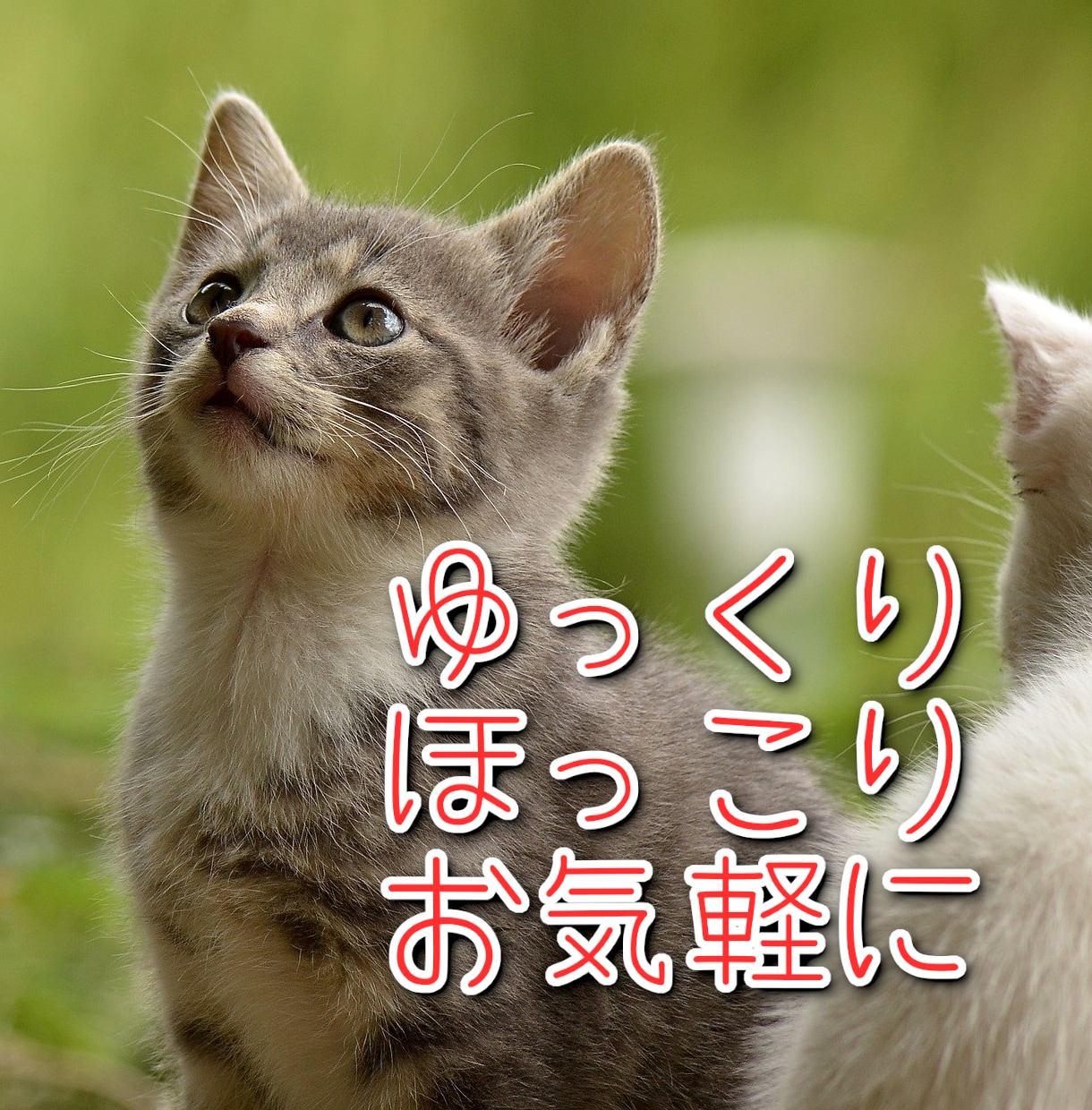 どんな話も優しく聞きます。5分～でも丁寧に聞きます 話せるだけで少し楽になりますよね。優しく丁寧に聞きます。 イメージ1