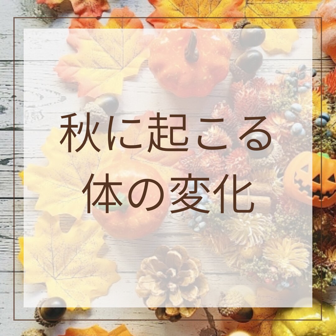SNSのサムネイル画像制作いたします ココナラ実績を増やしたいので、お安く提供させていただきます。 イメージ7