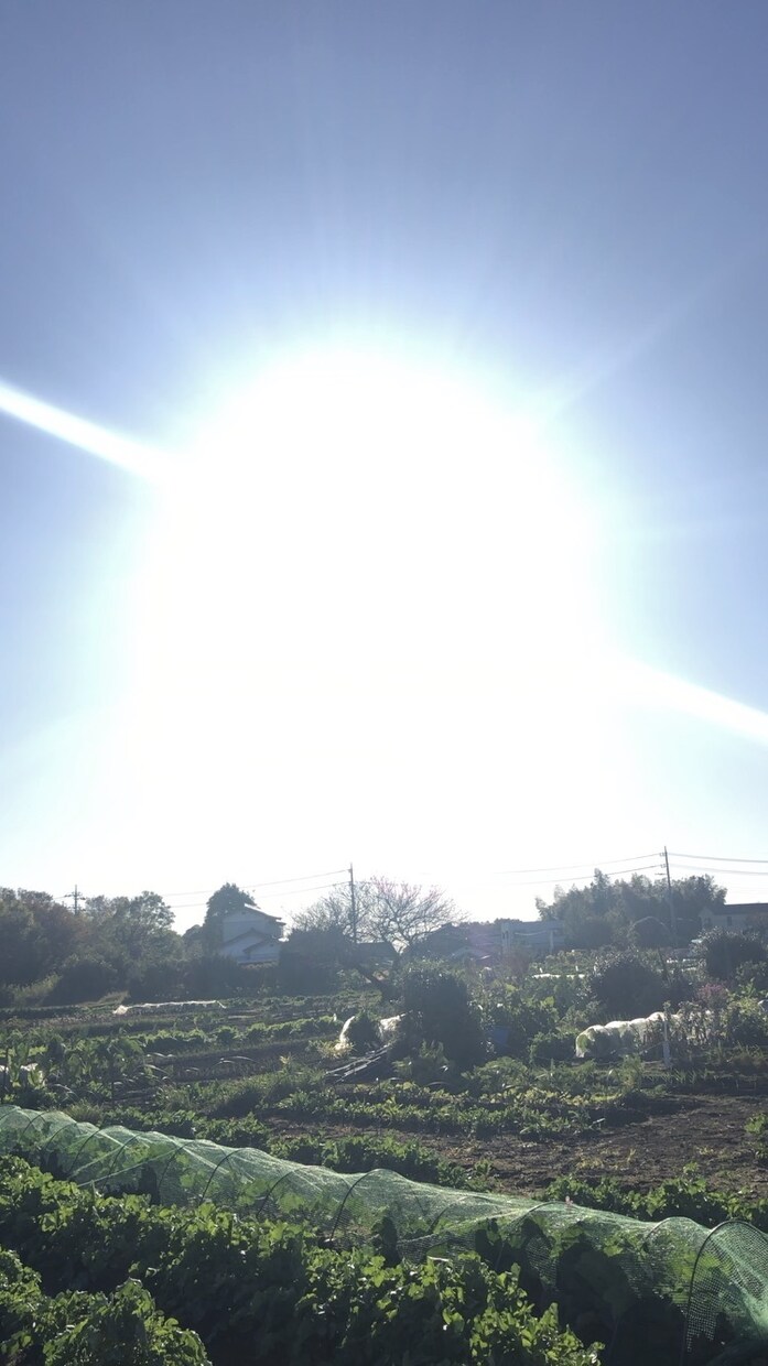 様々なお悩み相談・人生・人間関係・育児相談をします 2日間あなたのその悩み吐き出してみませんか？ イメージ2