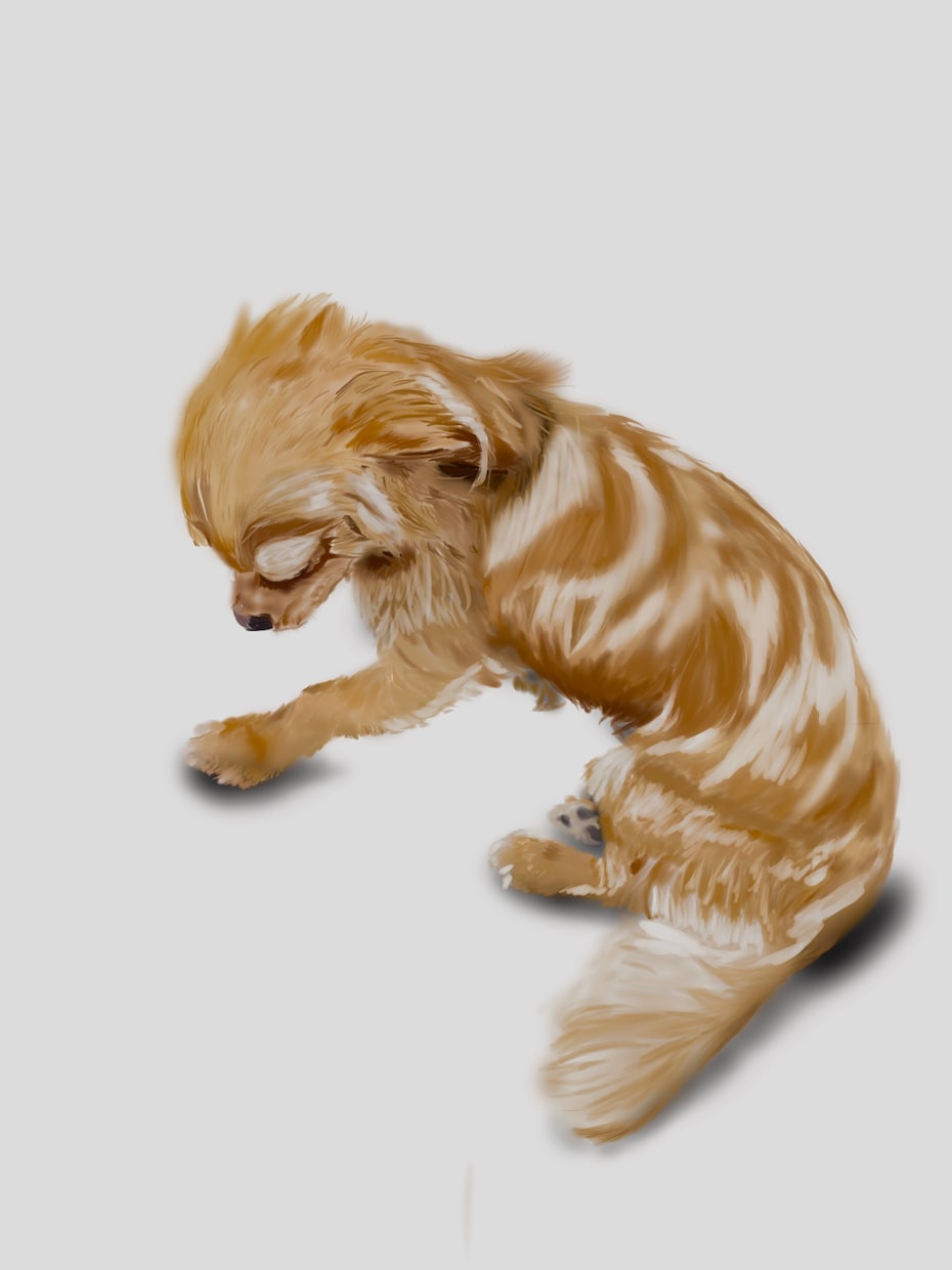 動物のイラストをお描きます 【即日対応】温かみある動物の絵をお描きします。 イメージ4