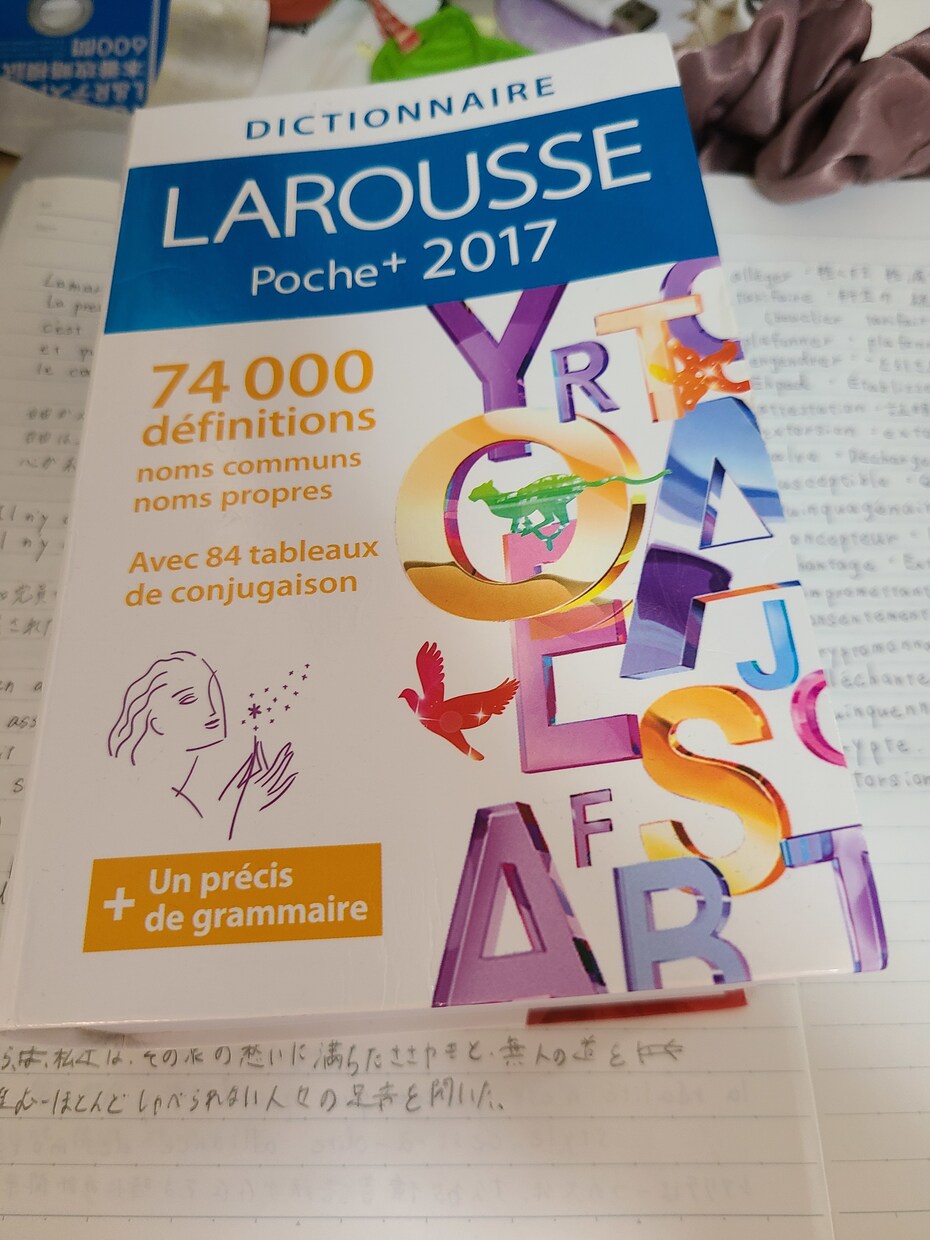 フランス語の文章の添削をします フランス人の旦那に頼んでフランス語の添削をします。 イメージ1