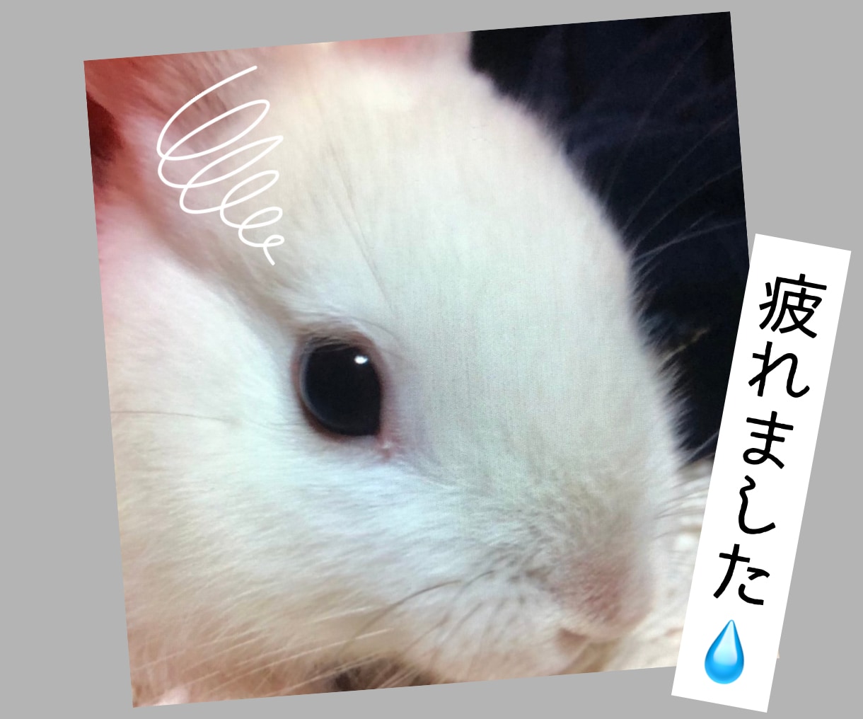 心が落ち着かない日…あなたに寄り添います 元気なふり、ここではしなくて大丈夫です☾·̩͙⋆ イメージ2