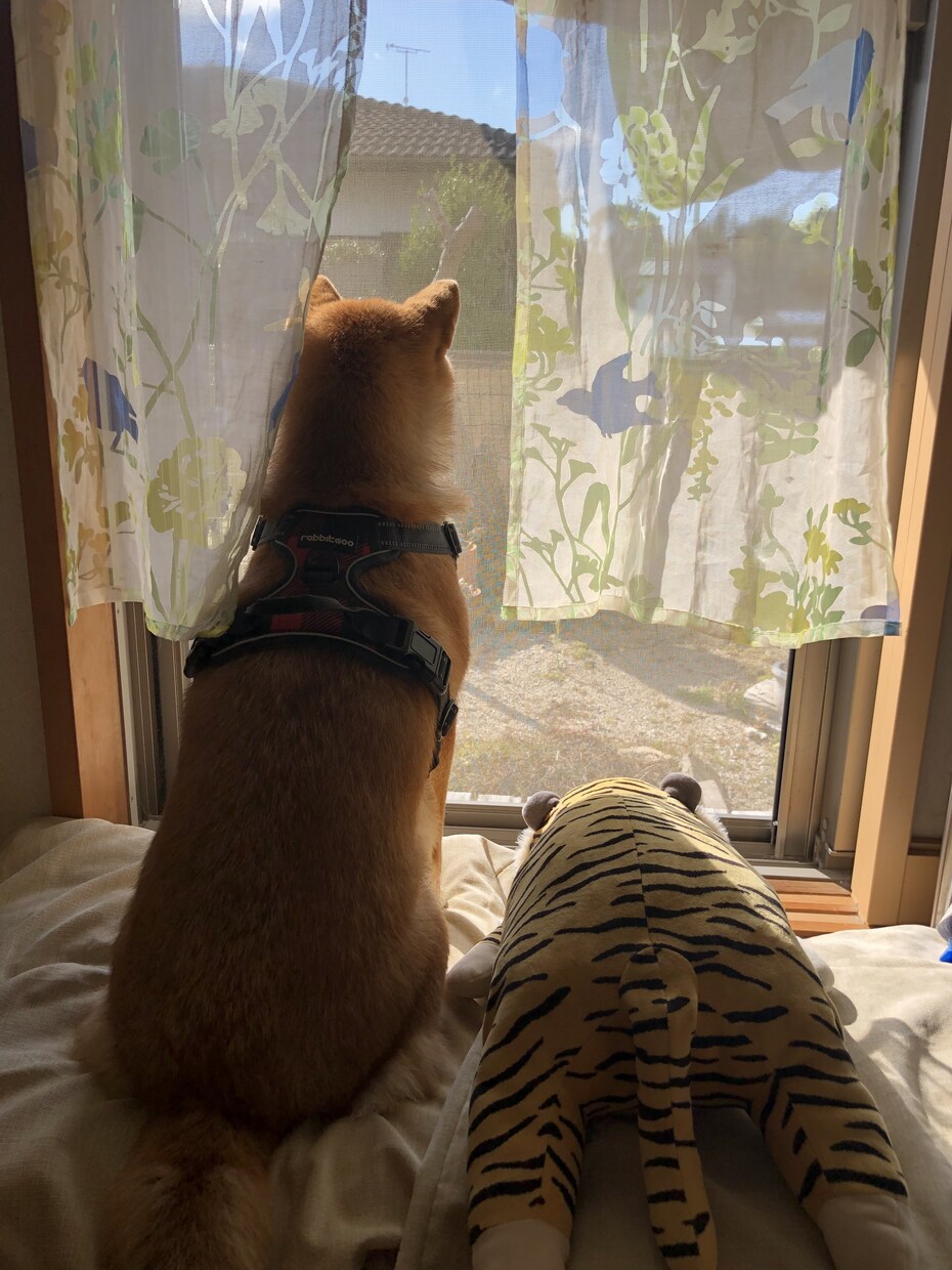 何気ない日々のお話お聞きします ひなたぼっこで何気ないお話しをしましょう⭐︎ イメージ1