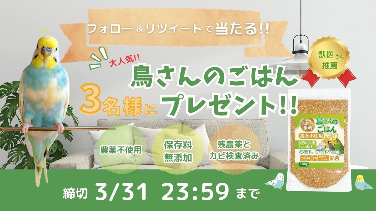 元保育士ママがポップでかわいいバナー制作いたします イメージに寄り添ったデザインをご提案いたします！ イメージ5