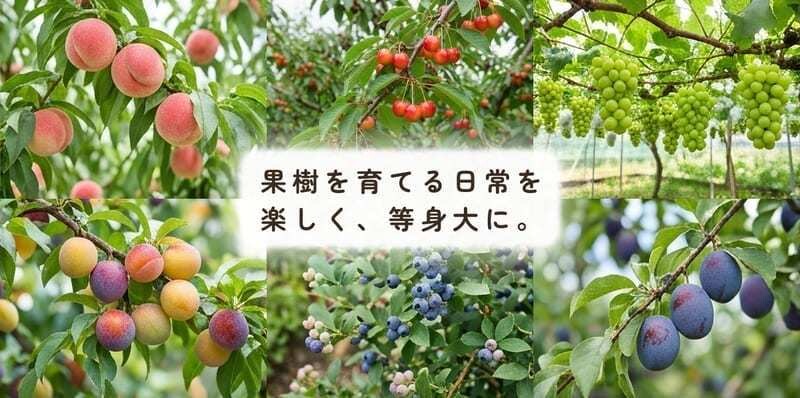 デザインカンプを忠実にコーディングします 現役エンジニアがピクセル単位で忠実に実装します イメージ4